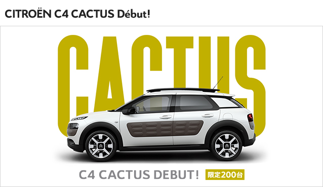 C4 CACTUS