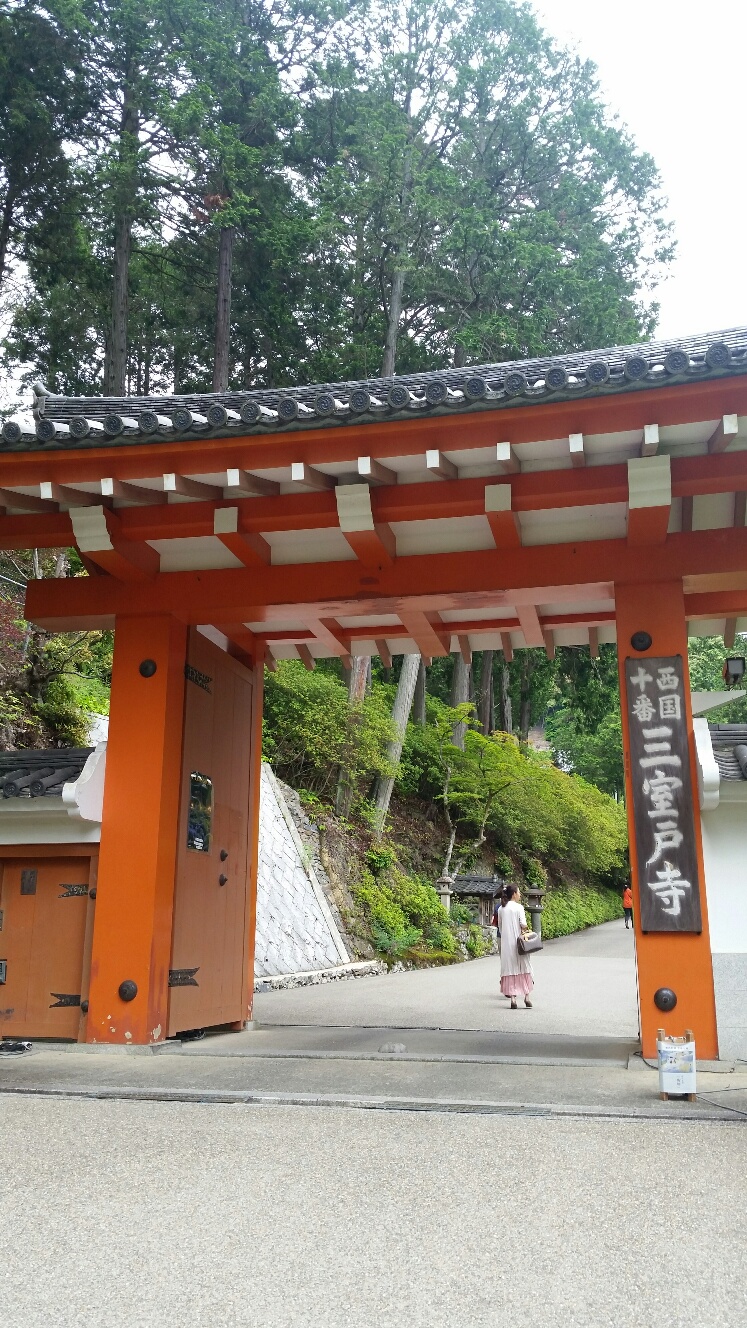 《京都三室戸寺》紫陽花満開ですよ～！！