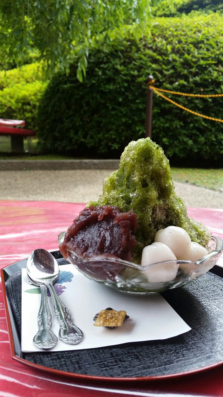 《京都三室戸寺》紫陽花満開ですよ～！！