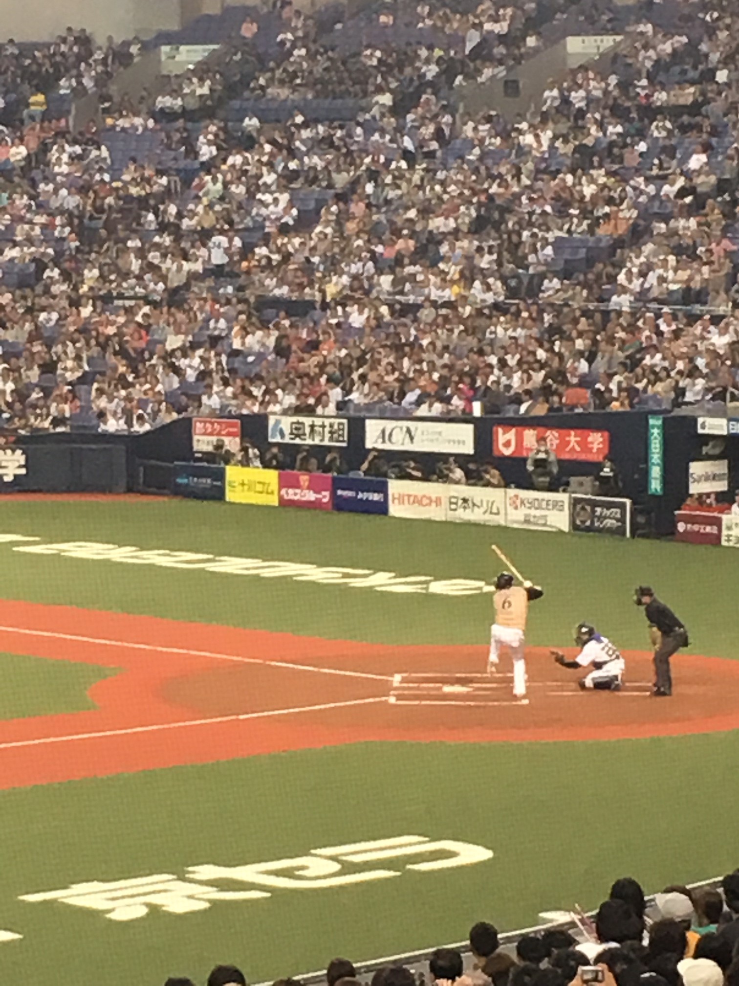 甲子園みたい。