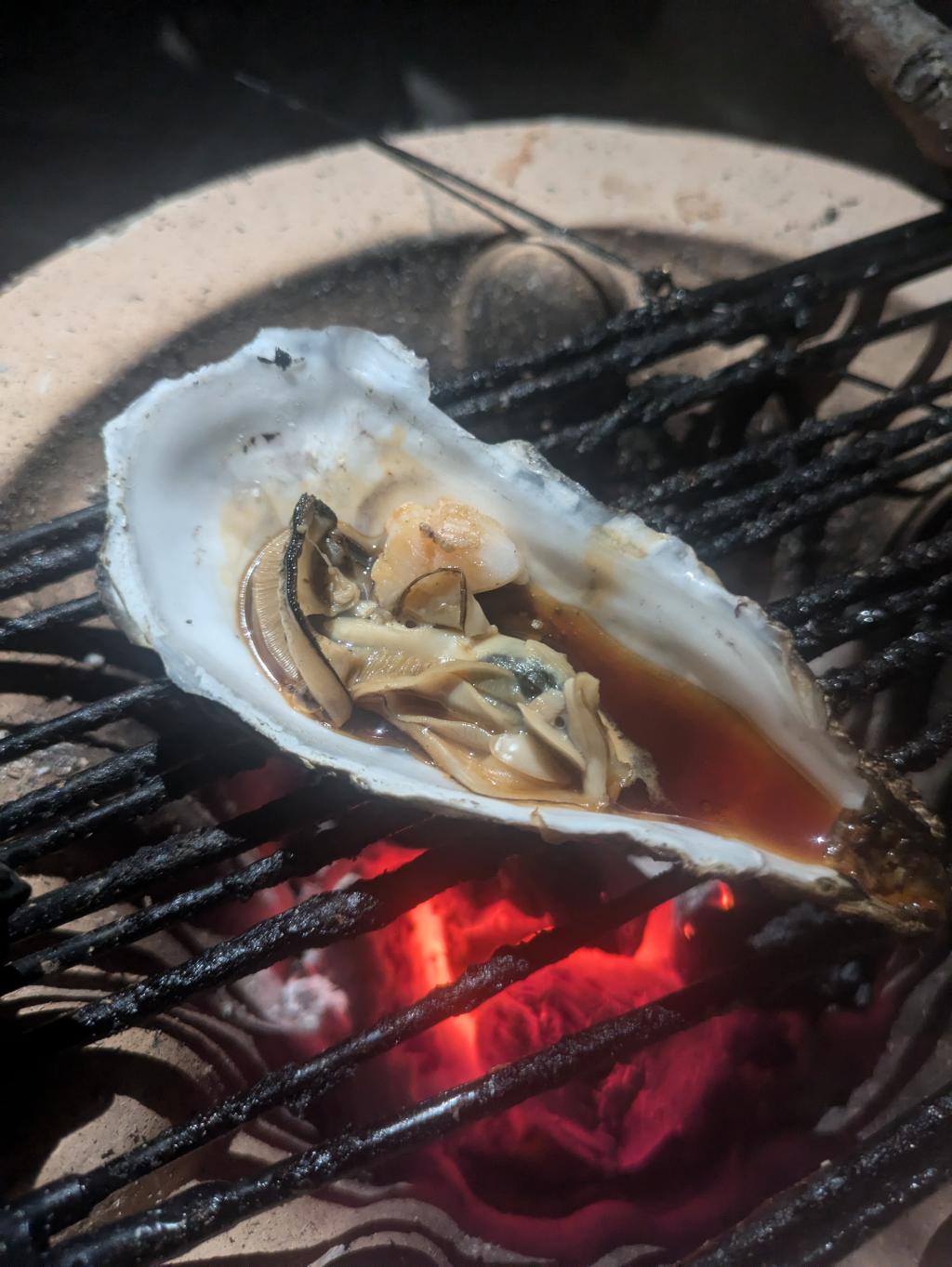 鯛🐠