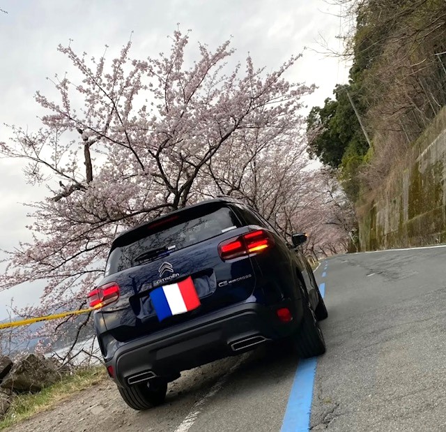 C5AIRCROSSとさくら🌸
