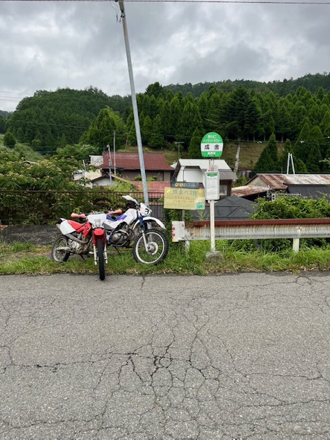 涼を求めて
