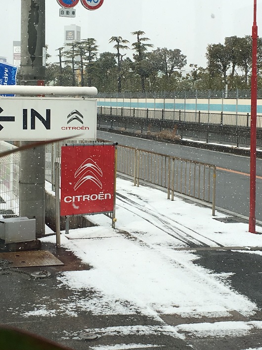 久しぶりの雪景色