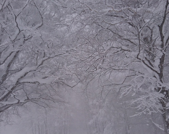 雪山