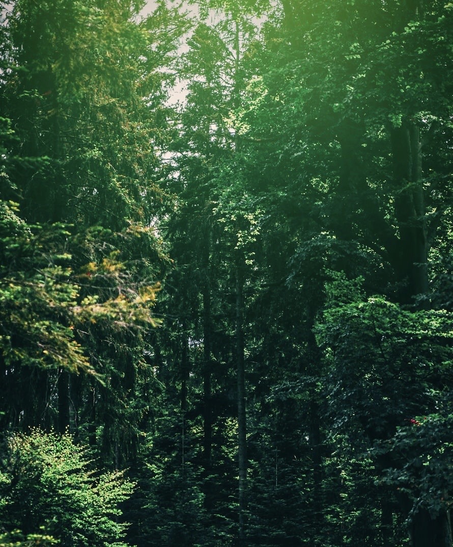 平成の想い出　番外編。