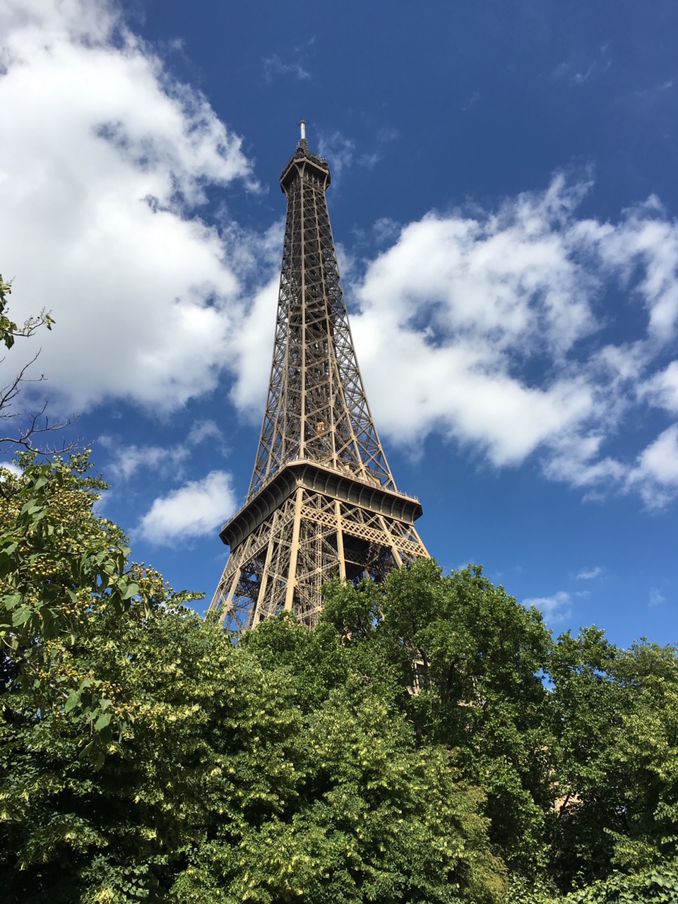 フランスの年末年始。