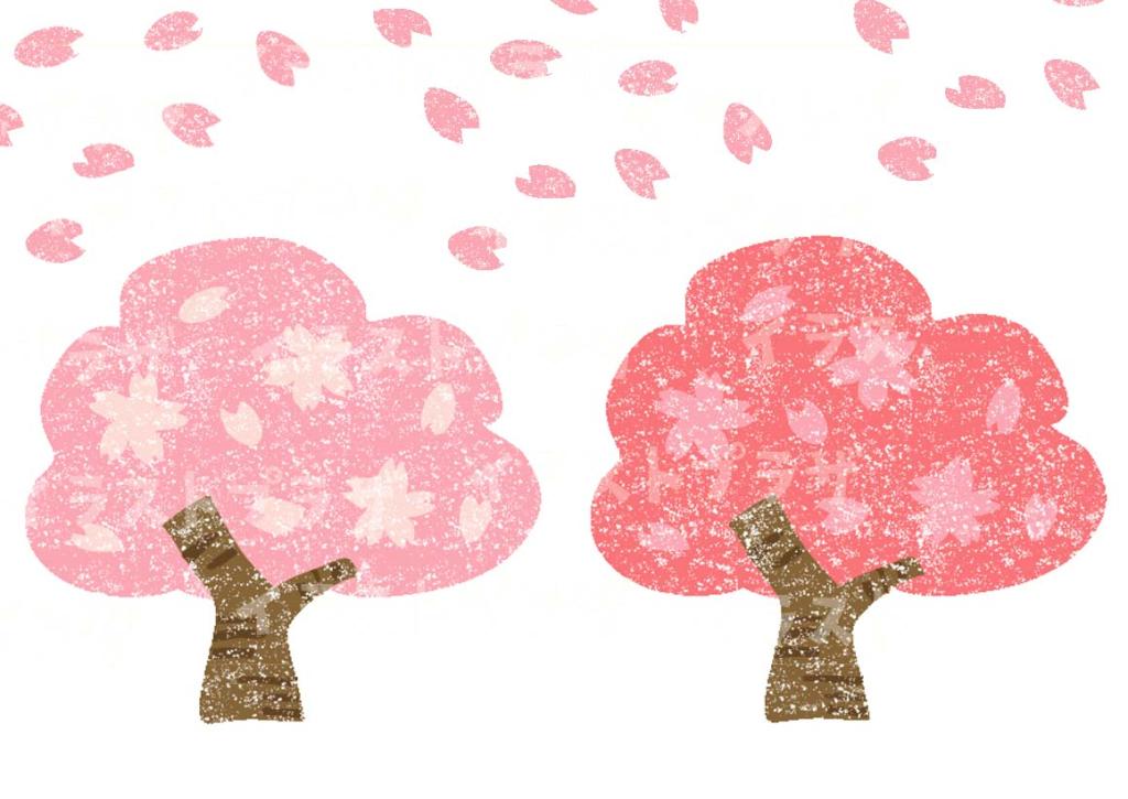 新年度🌸
