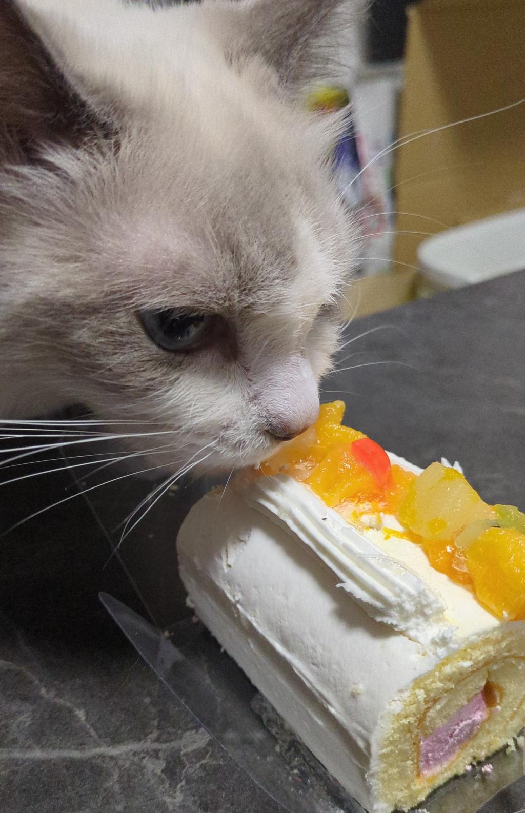 2歳になりました🥳🥳🥳
