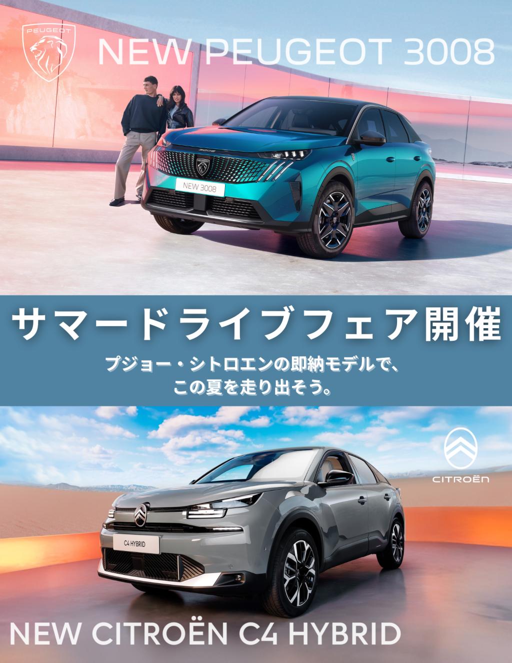 サマードライブフェア🌊🚗