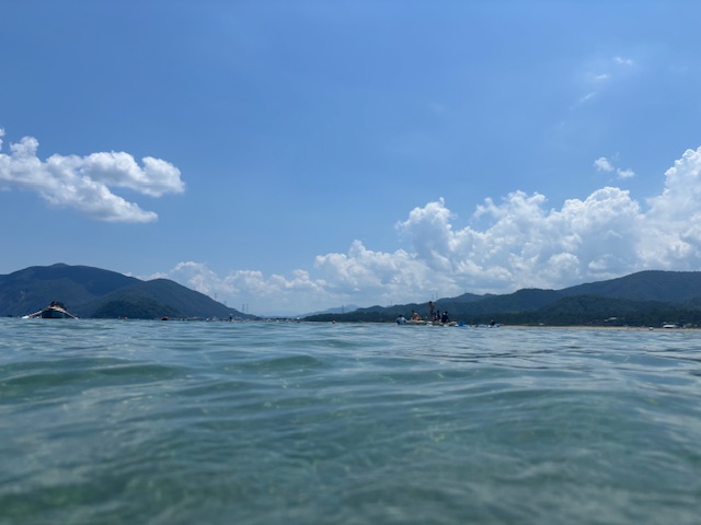 夏を感じてきました🌊