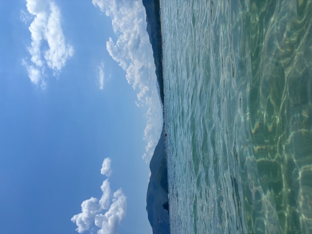 夏を感じてきました🌊