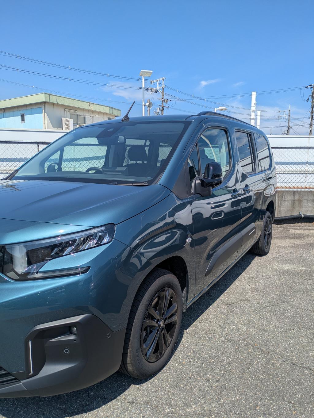 ブルーキアマ🌊🌊🌊
