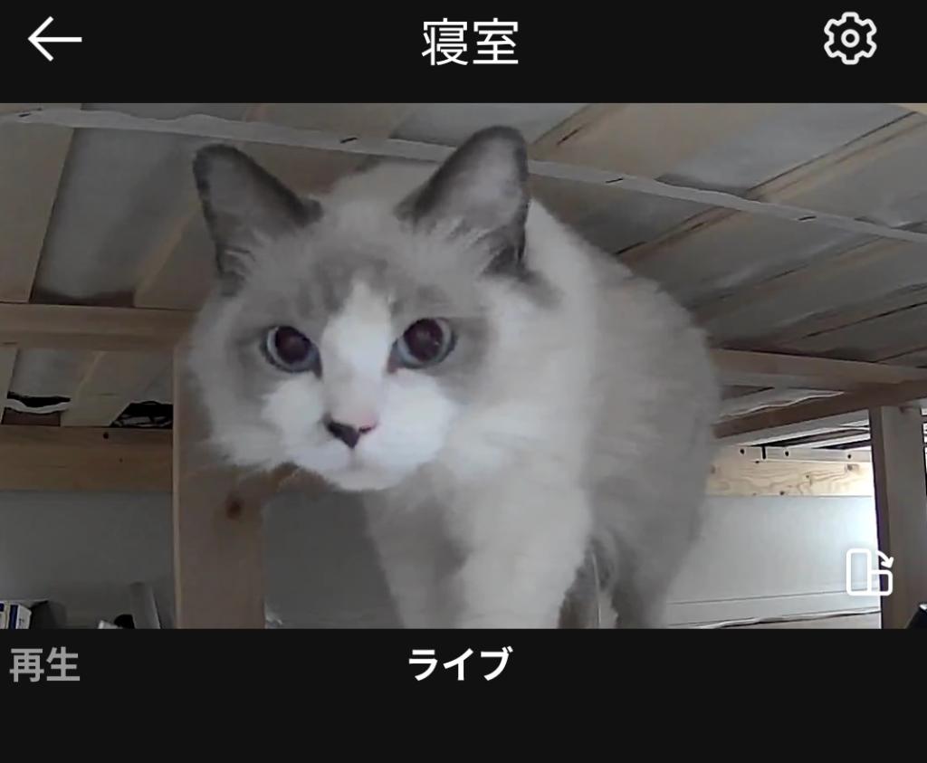 うなぎの見守り始めました
