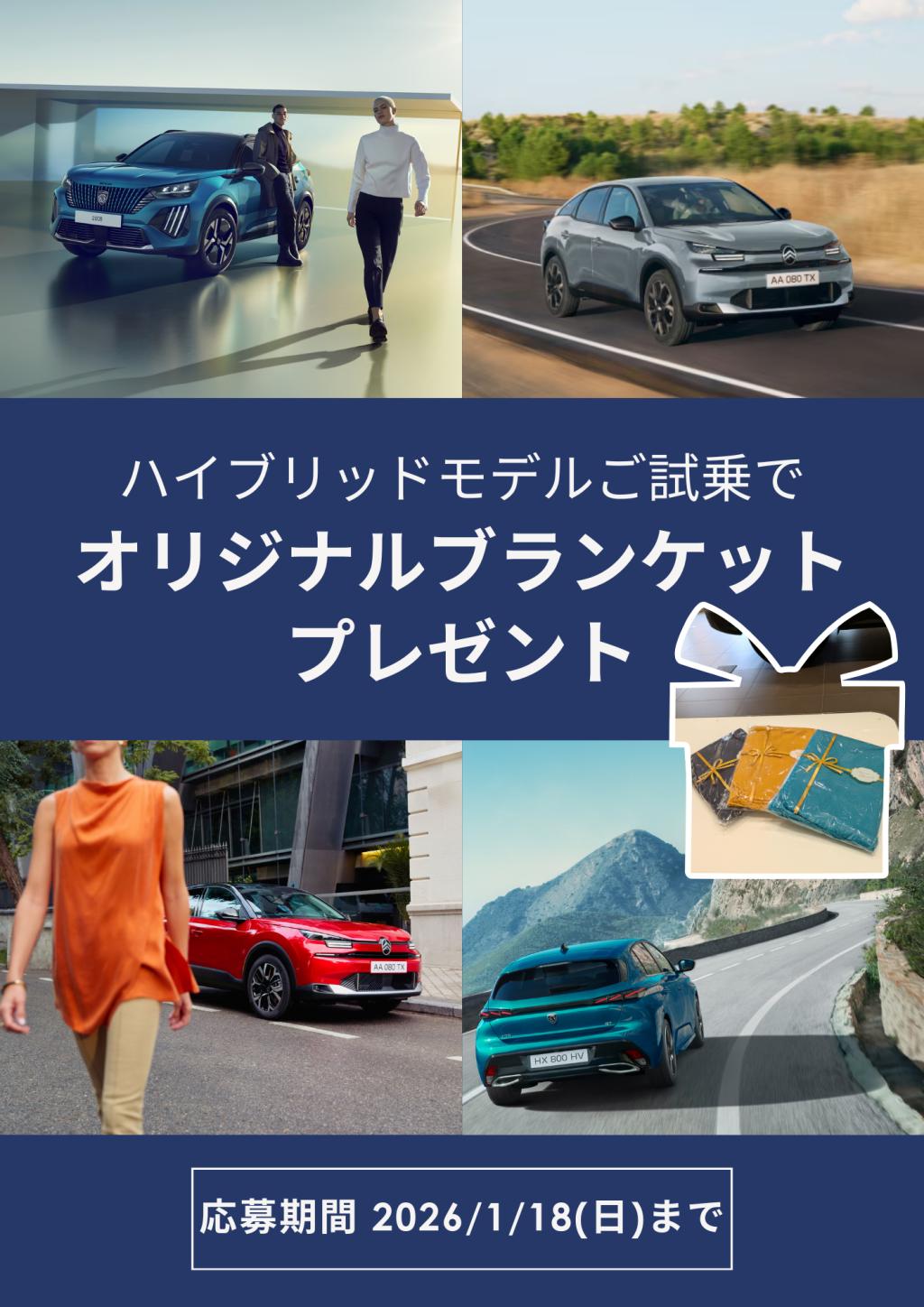 週末はシトロエン枚方へご来店ください🌟