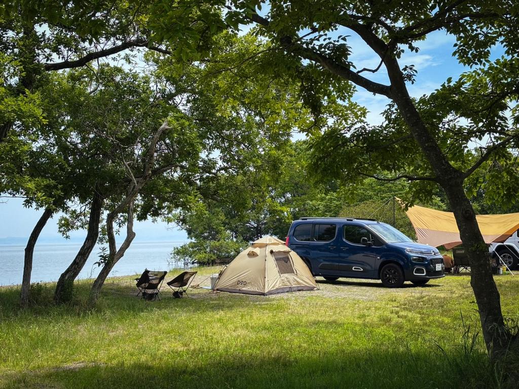 素敵な写真をいただきました☺️