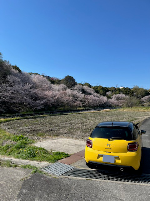 シトロエンと日本の風景