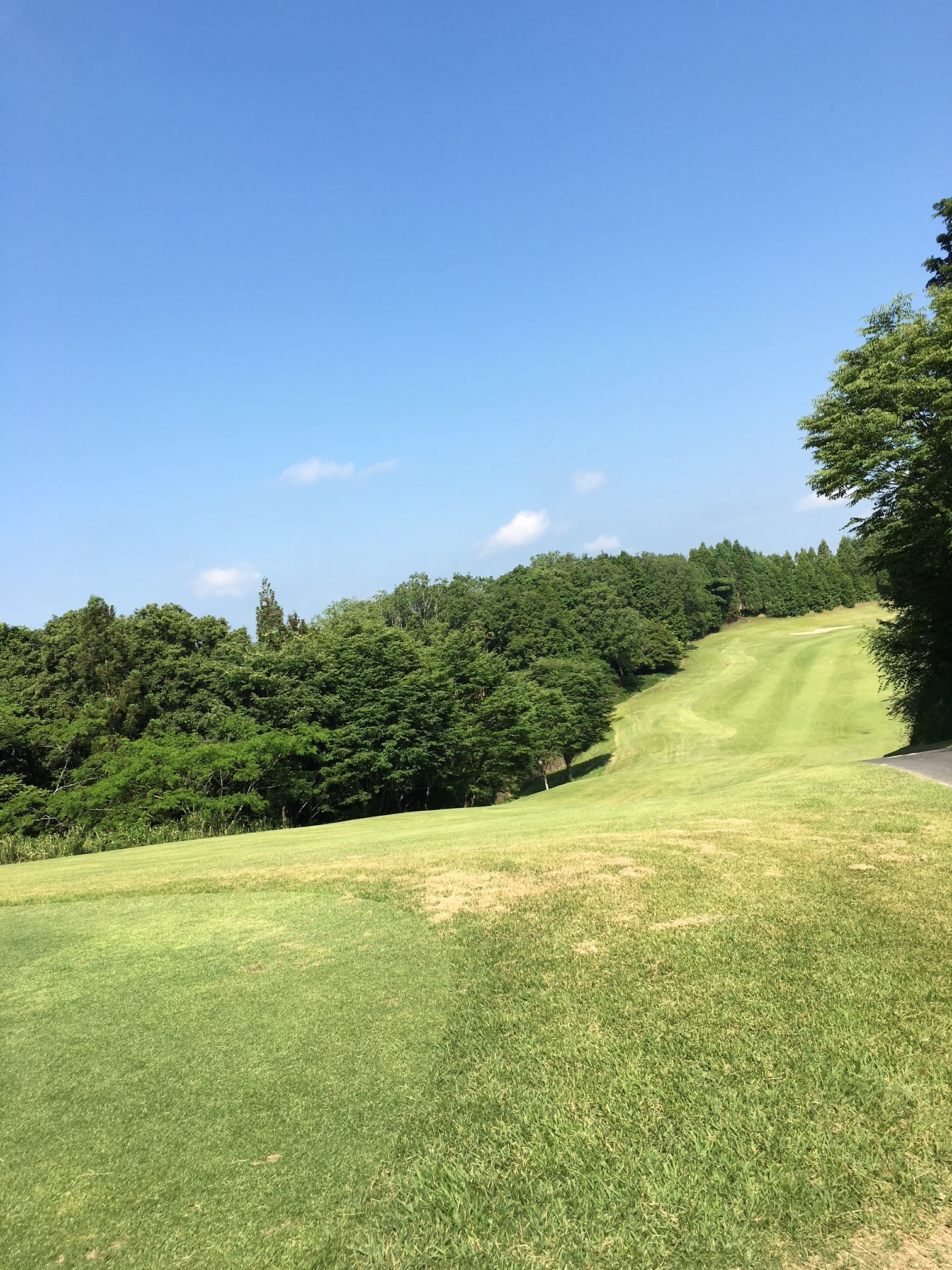 名阪チサン