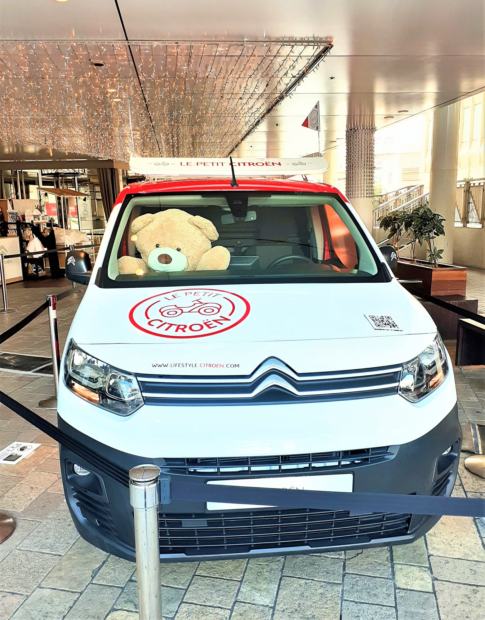 朝のBibliothèque CITROËN🌞