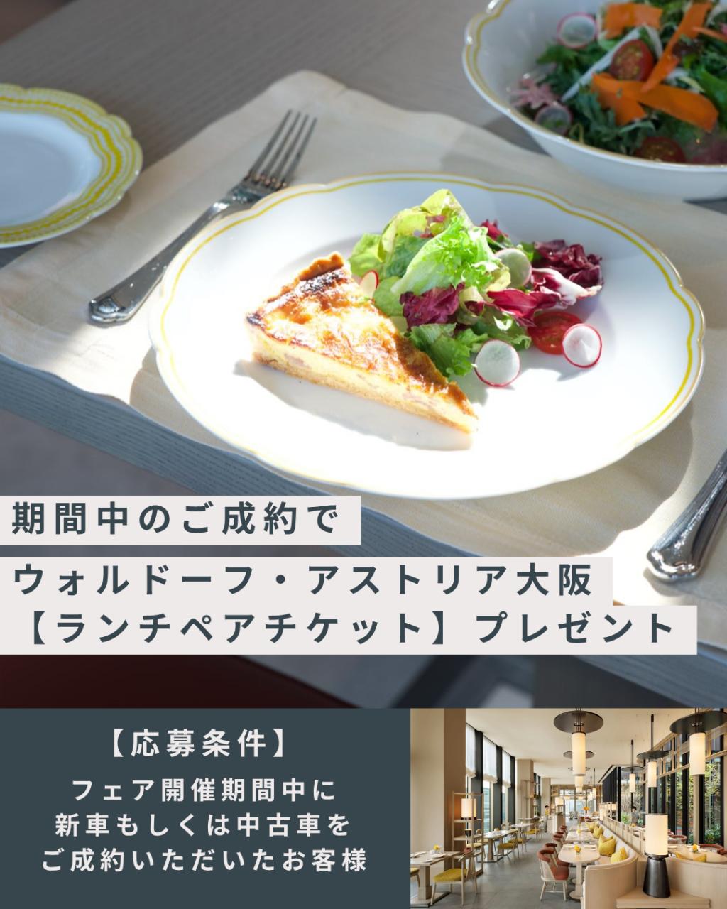 アウトドアフェア2025開催🏕️🎉