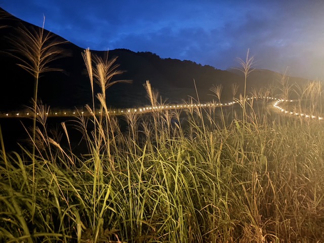 秋ですね🍂🌾