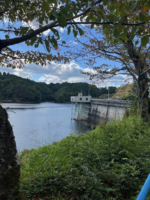 青蓮寺湖