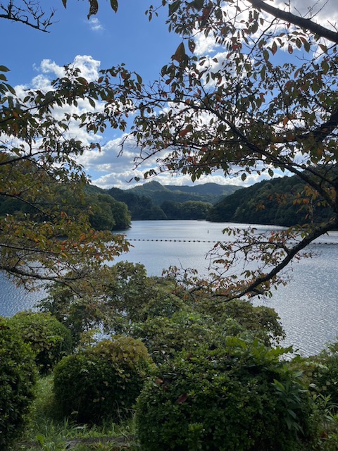 青蓮寺湖